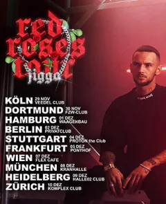 Bild zum Event 'abgesagt / JIGGO'